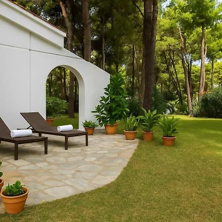 فيلة Paradise Found At Thalia's Poolside